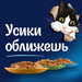 Влажный корм Felix Природа вкуса для взрослых кошек с курицей в соусе – интернет-магазин Ле’Муррр