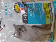 Пользовательская фотография №4 к отзыву на 1st Choice Healthy Skin & Coat Сухой корм для взрослых кошек с чувствительной кожей и шерстью (с лососем)